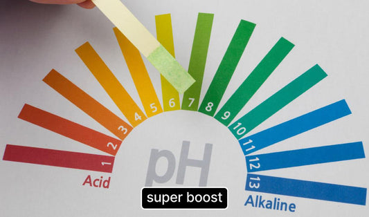 Is Your Body Alkaline?