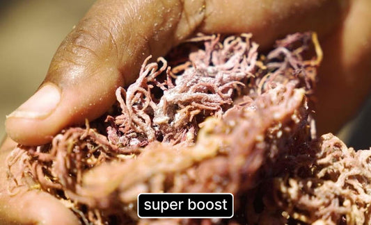 Nature’s Oceanic Healing Secret?
