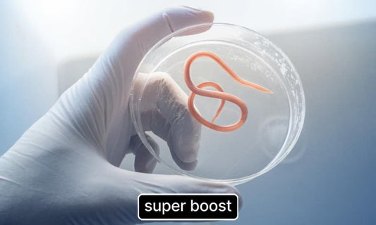 7-Signs-You-Have-Parasites Super Boost Nutra