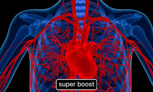 The Blood Energy Connection