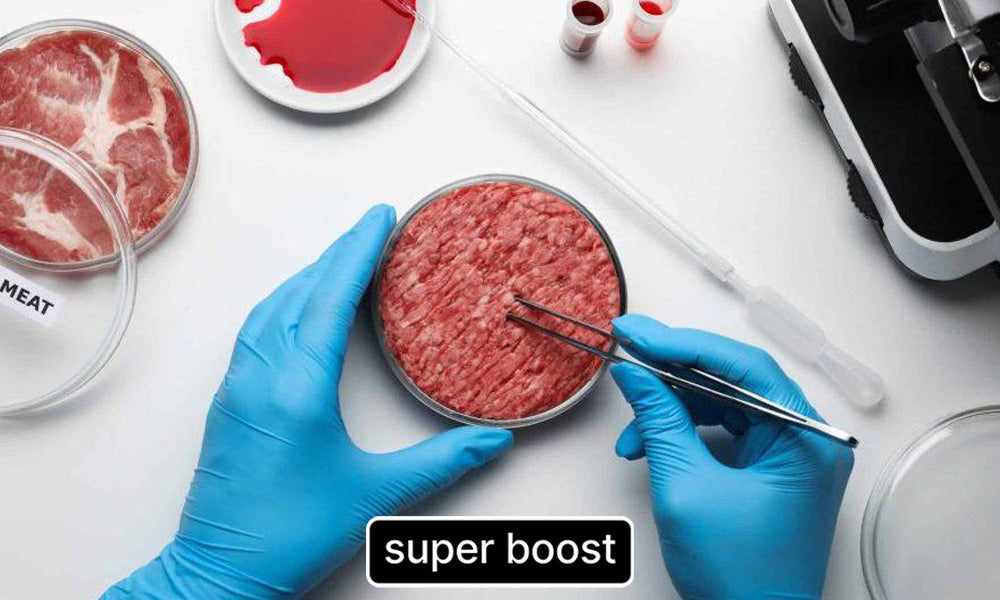 Cloned Meat Is Coming To Stores Near You – Super Boost Nutra