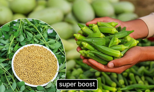 This Removes Microplastics From Your Water!