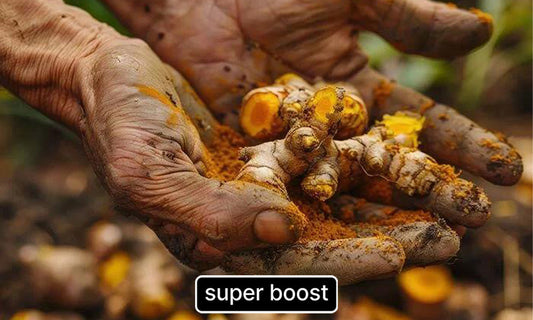 From-Stiff-Joints-to-Full-Strides-The-Spice-of-Transformation Super Boost Nutra