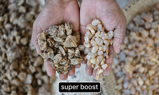 Frankincense: The Miracle Tree Resin