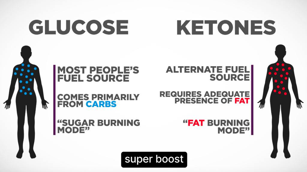 Unlocking the Power of Ketosis