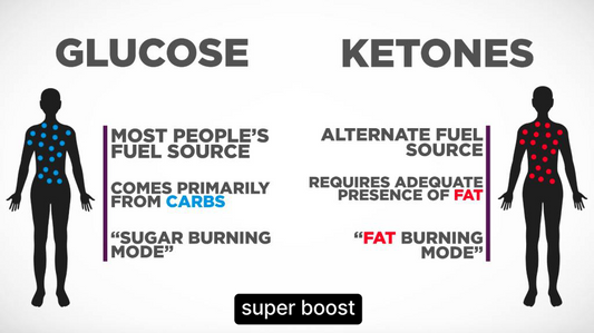 Unlocking the Power of Ketosis