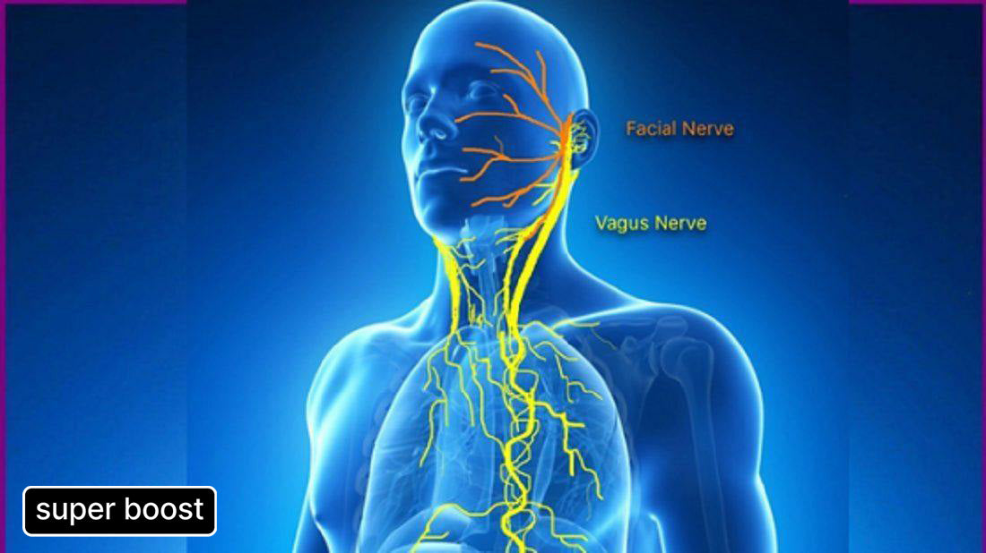 The Power of Humming: Boost Your Vagus Nerve Health