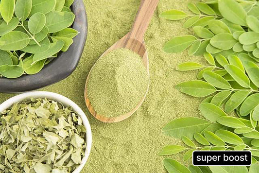 The Power of Moringa for Your Health!