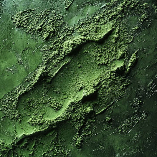 Chlorella-The-Superfood-You-Need-to-Know-About Super Boost Nutra