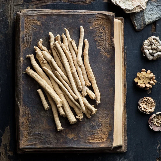 Ashwagandha: The Ancient Herb for Modern Wellness