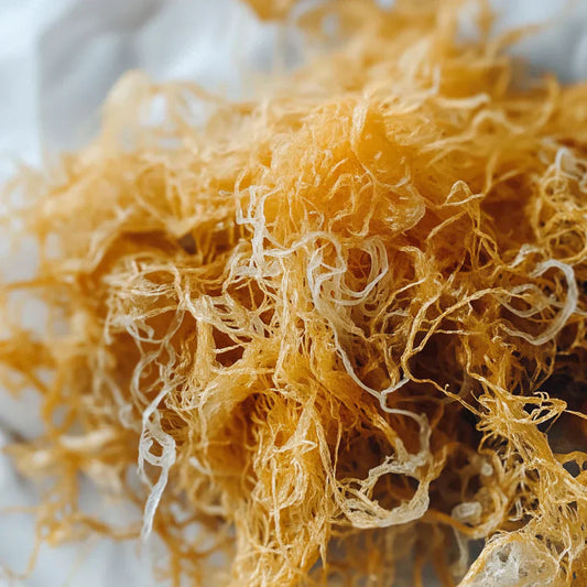 Organic Irish Sea Moss: A Superfood Supplement You Need to Try