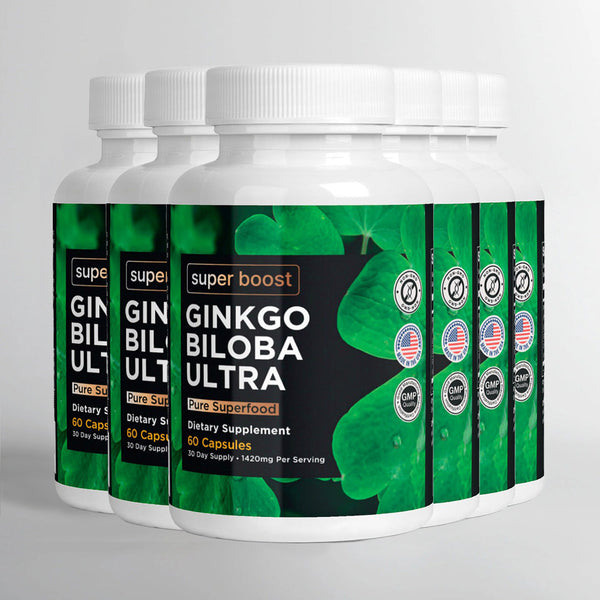 GINKGO BILOBA ULTRA - 6 MONTH SUPPLY Super Boost Nutra